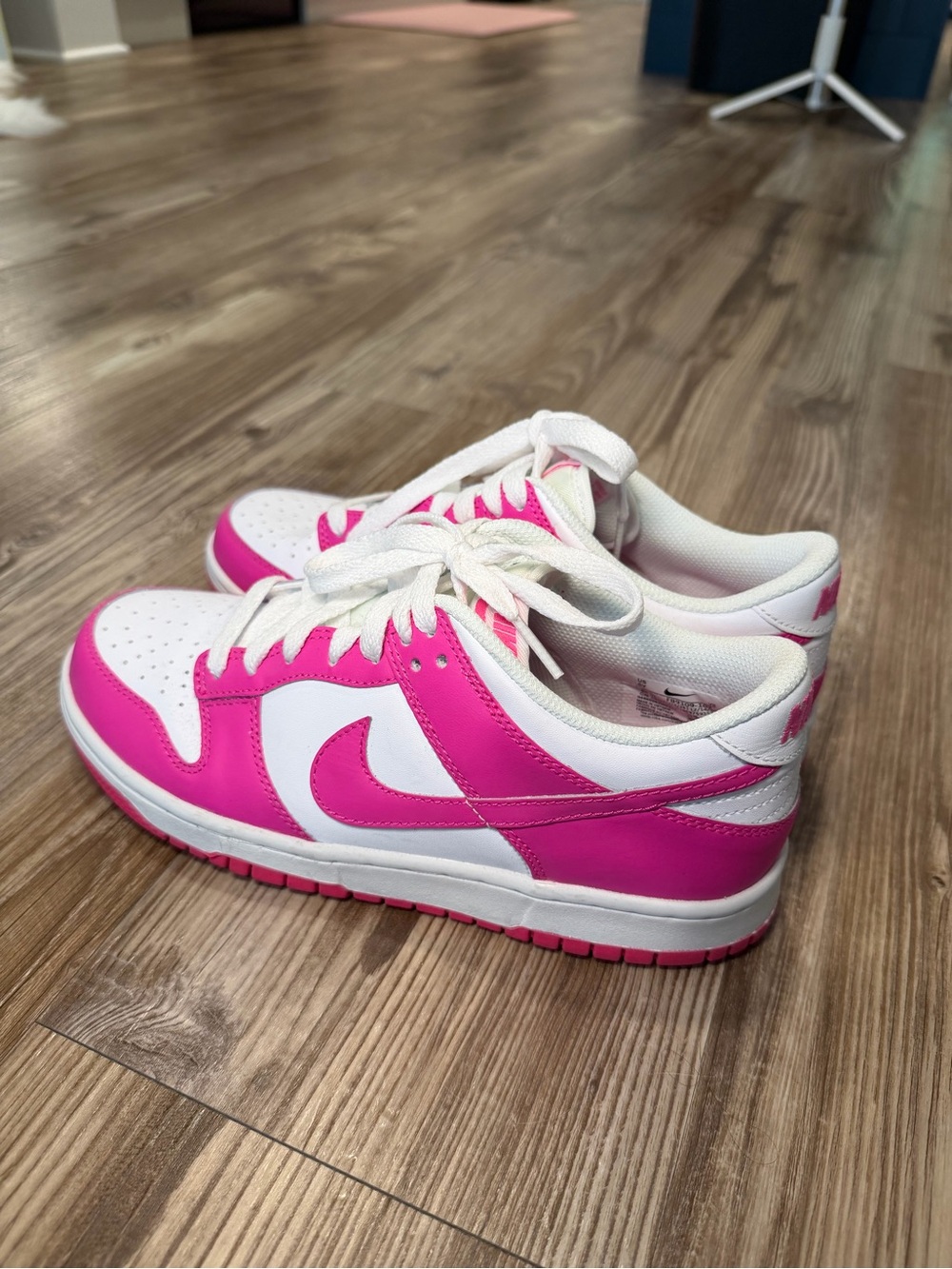 Nike Kids Fuschia Dunks